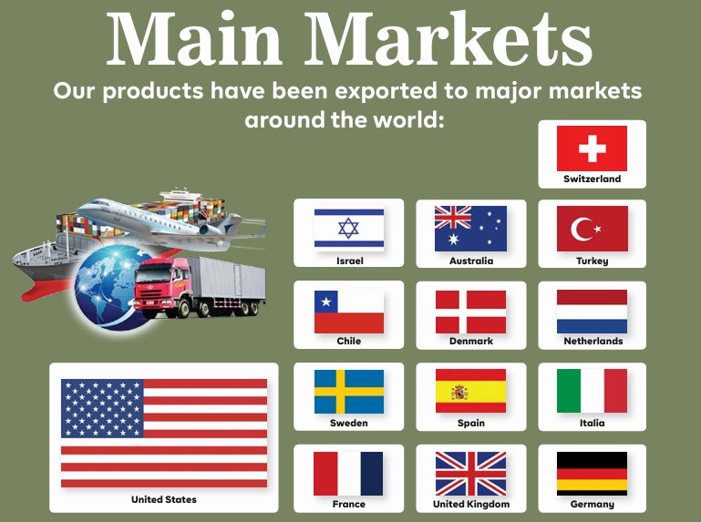 Global Export Markets