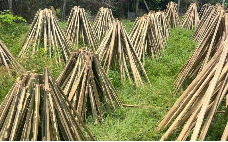 Vietnam Bamboo Furniture Manufacturing Facility